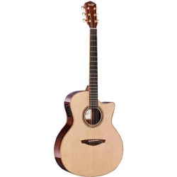 Guitare Folk V5-OMCE Naturelle Massive Électro